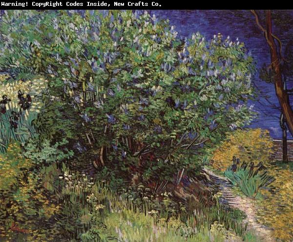 Vincent Van Gogh Bushes